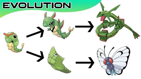 Pokemon Evolutions (Pokémon Evolutions) .
